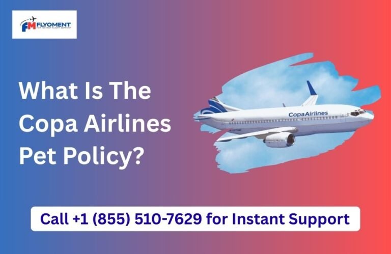 Read more about the article What Is The Copa Airlines Pet Policy​?