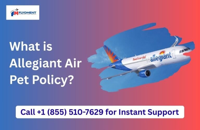 Read more about the article What is Allegiant Air Pet Policy?