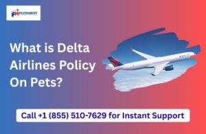Read more about the article What is Delta Airlines Policy On Pets?​