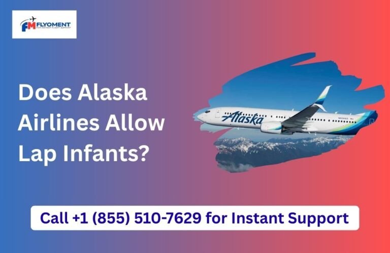 Read more about the article Does Alaska Airlines Allow Lap Infants? Rules & Charges Explained