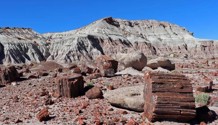 Petrified Forest National Park, Arizona 