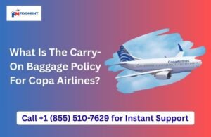 Read more about the article What Is The Carry-On Baggage Policy For Copa Airlines?